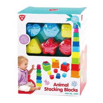 Playgo Sort and Learn Stacking Blocks