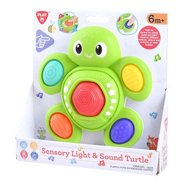 Playgo Baby Sensory Turtle with Light and Sound