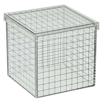 Transparent 3D Grid Cube - 10x10x10 cm
