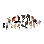 Mojo Play Animals School Package, 23 pcs.