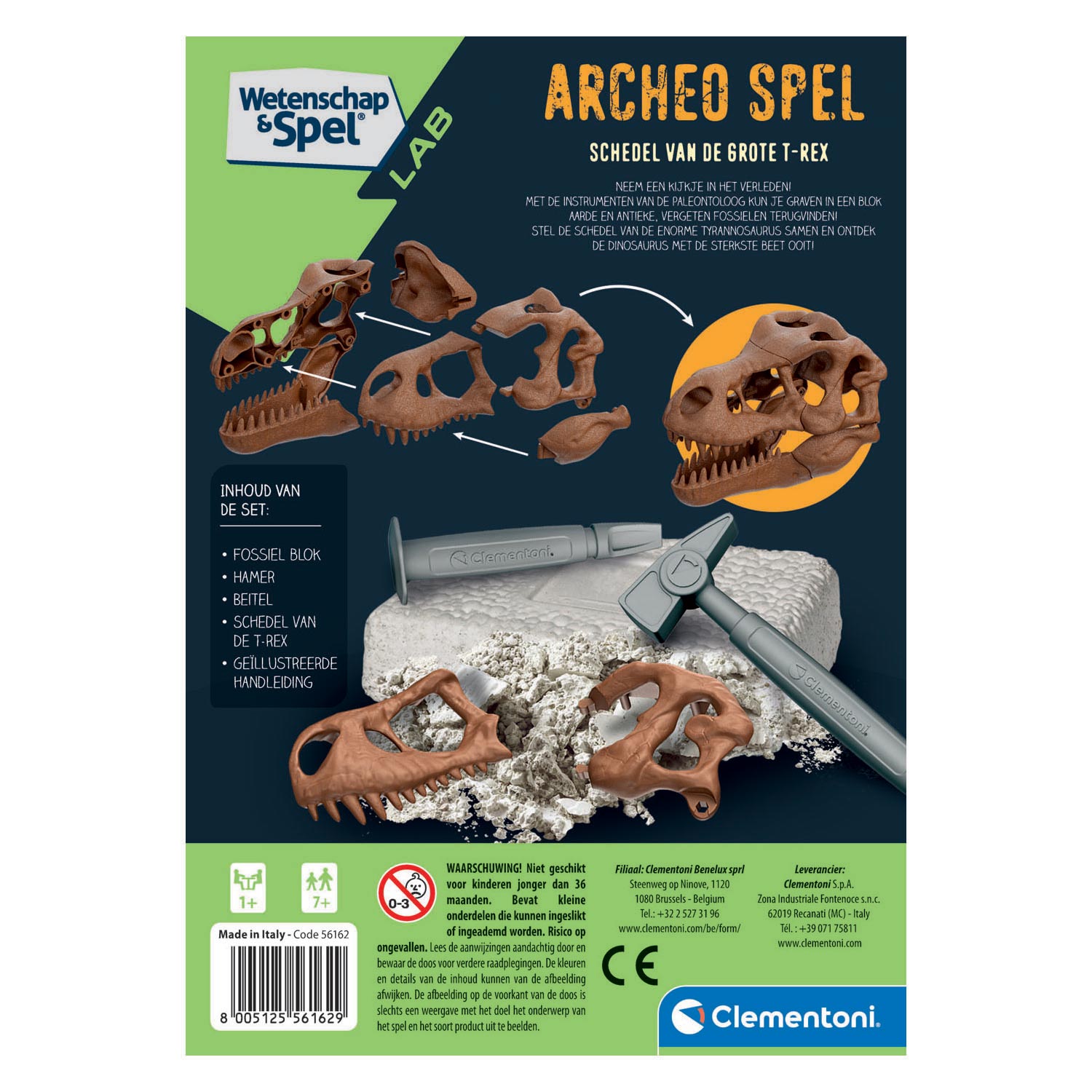 Clementoni Archeojugando – Scava E Scopri Il Cranio Di T-Rex, Gioco Educativo Scientifico Per Bambini