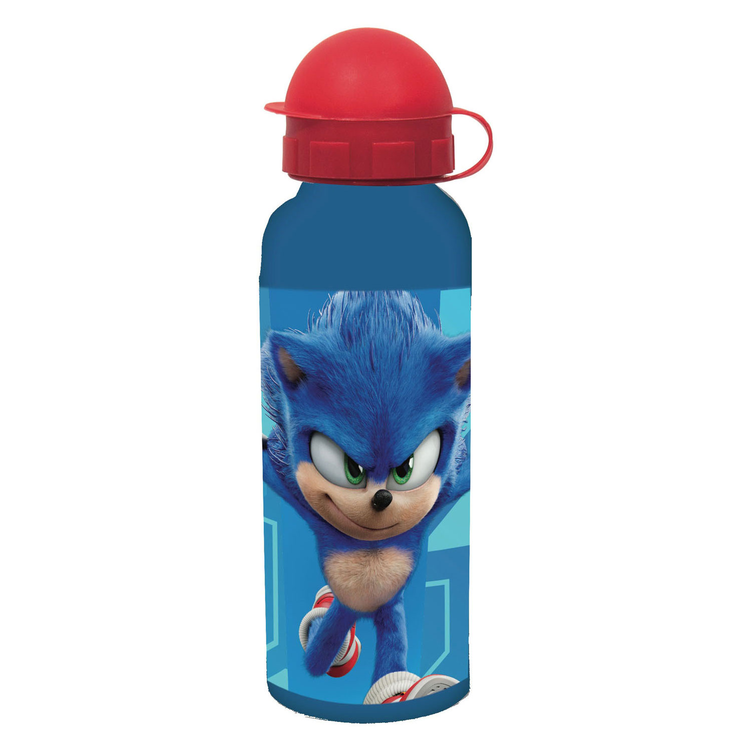Sonic the Hedgehog Color Shocked Amy Water Bottle